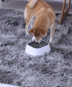 Splash Free Water Bowl I Nie wieder ein nasser Boden!